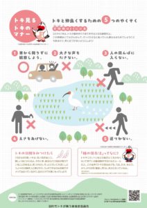 【羽咋市より】（重要）本州初のトキ放鳥のお知らせと付近を通行される際のお願い